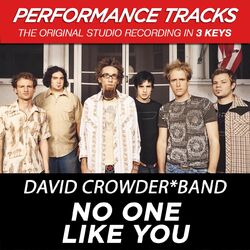 Cover of No One Like You (Performance Tracks)