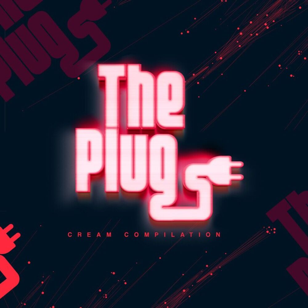 Picture of The Plug