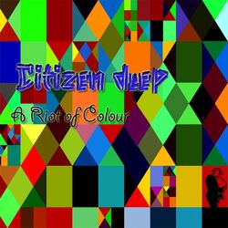 Cover of A Riot of Colour