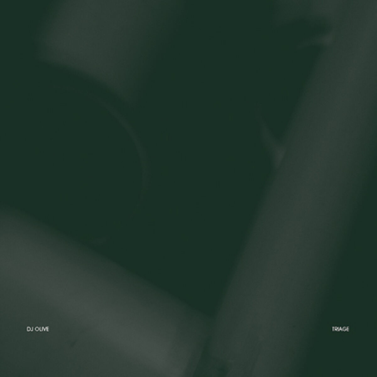 Album cover of Triage
