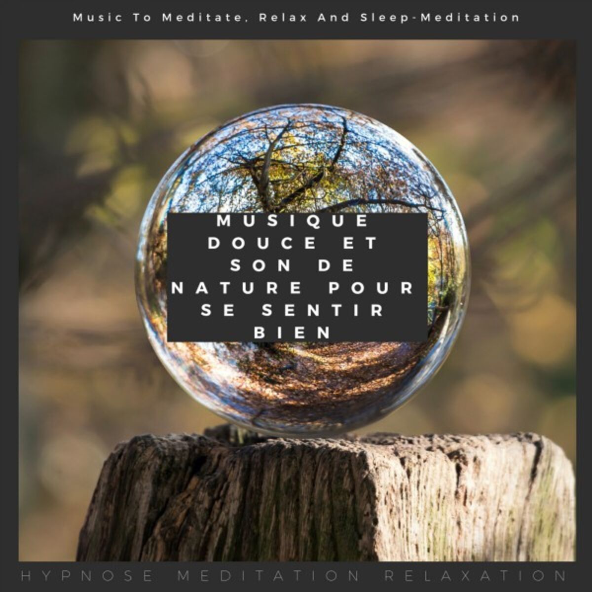 Album cover of Musique douce et son de nature pour se sentir bien