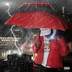 Cover of Quiet Storm