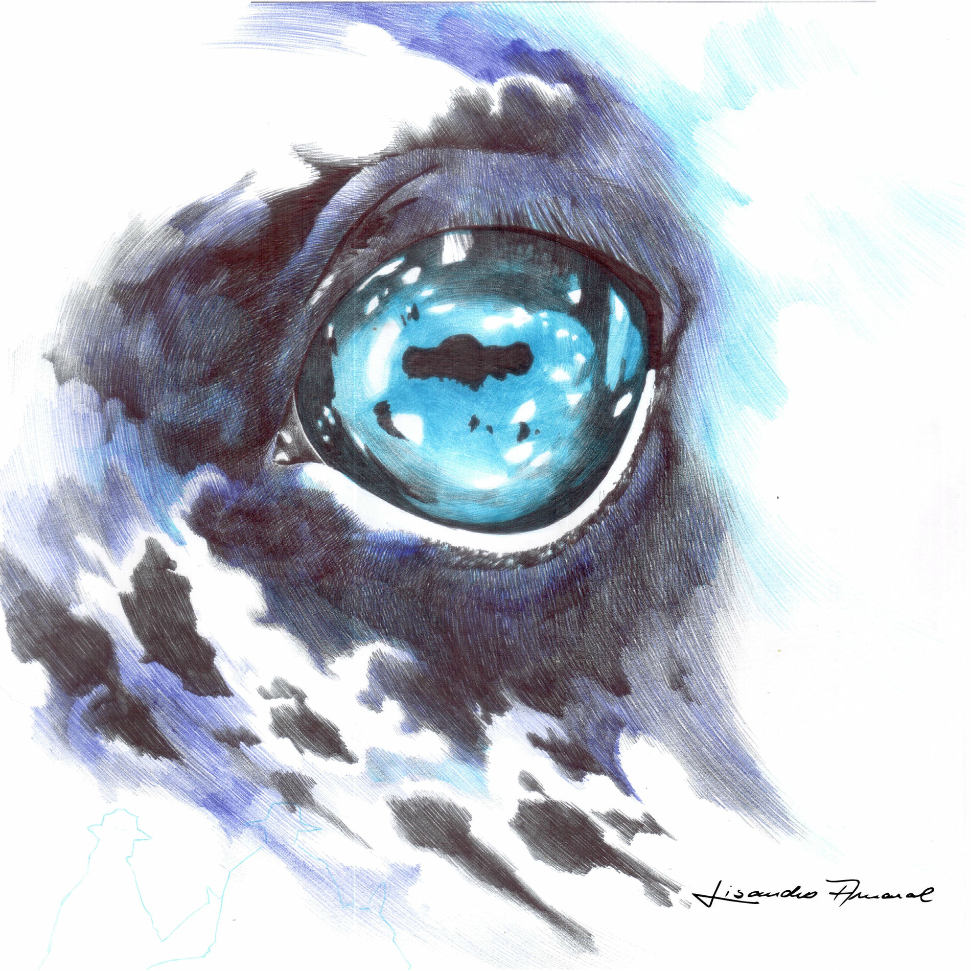Album cover of Los Moros de La Invernada
