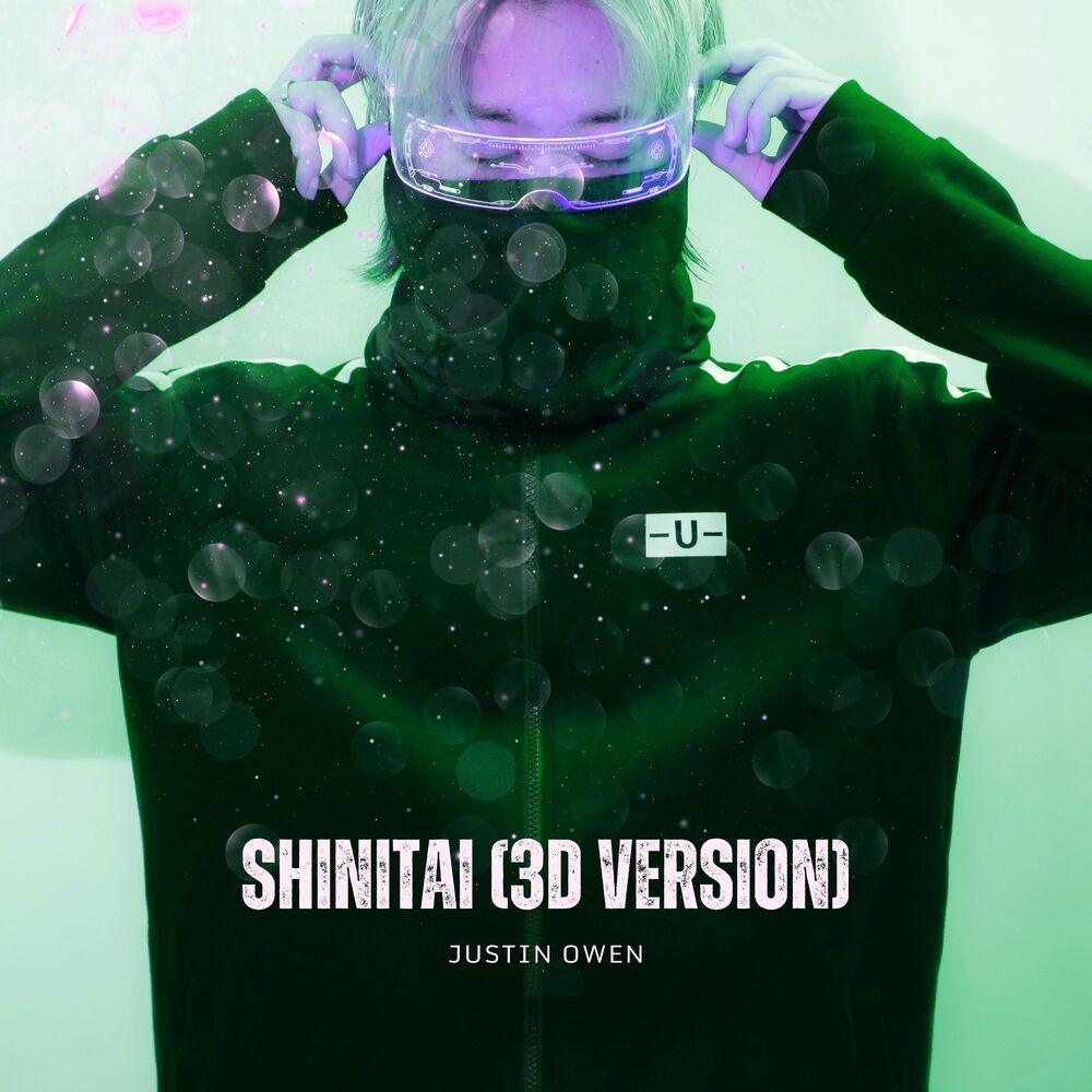 Picture of SHINITAI (3D VERSION)