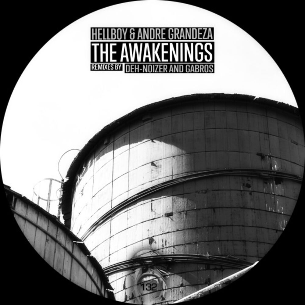 Picture of The Awakenings