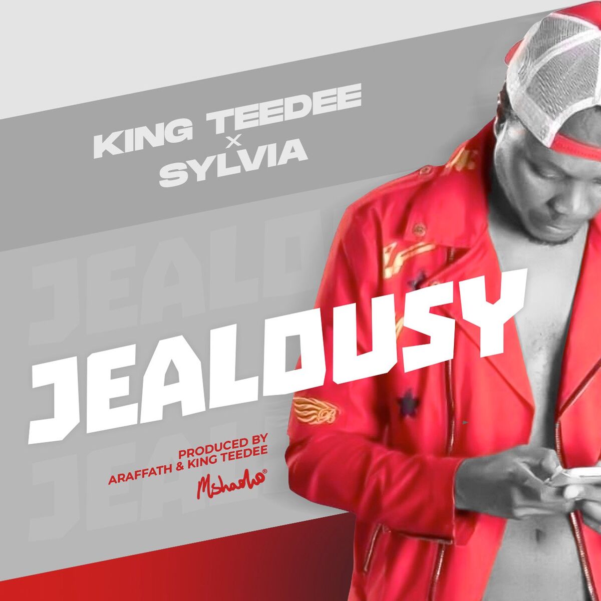 Album cover of Jealousy