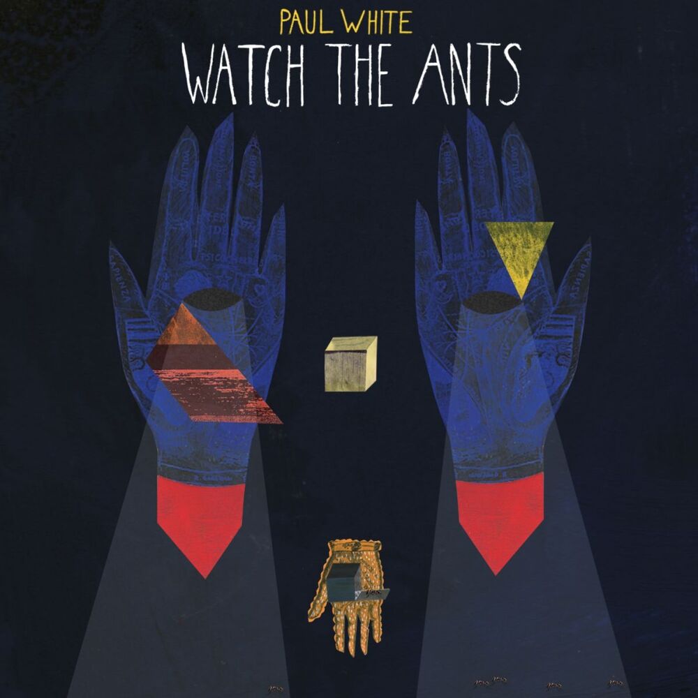 Picture of Watch The Ants