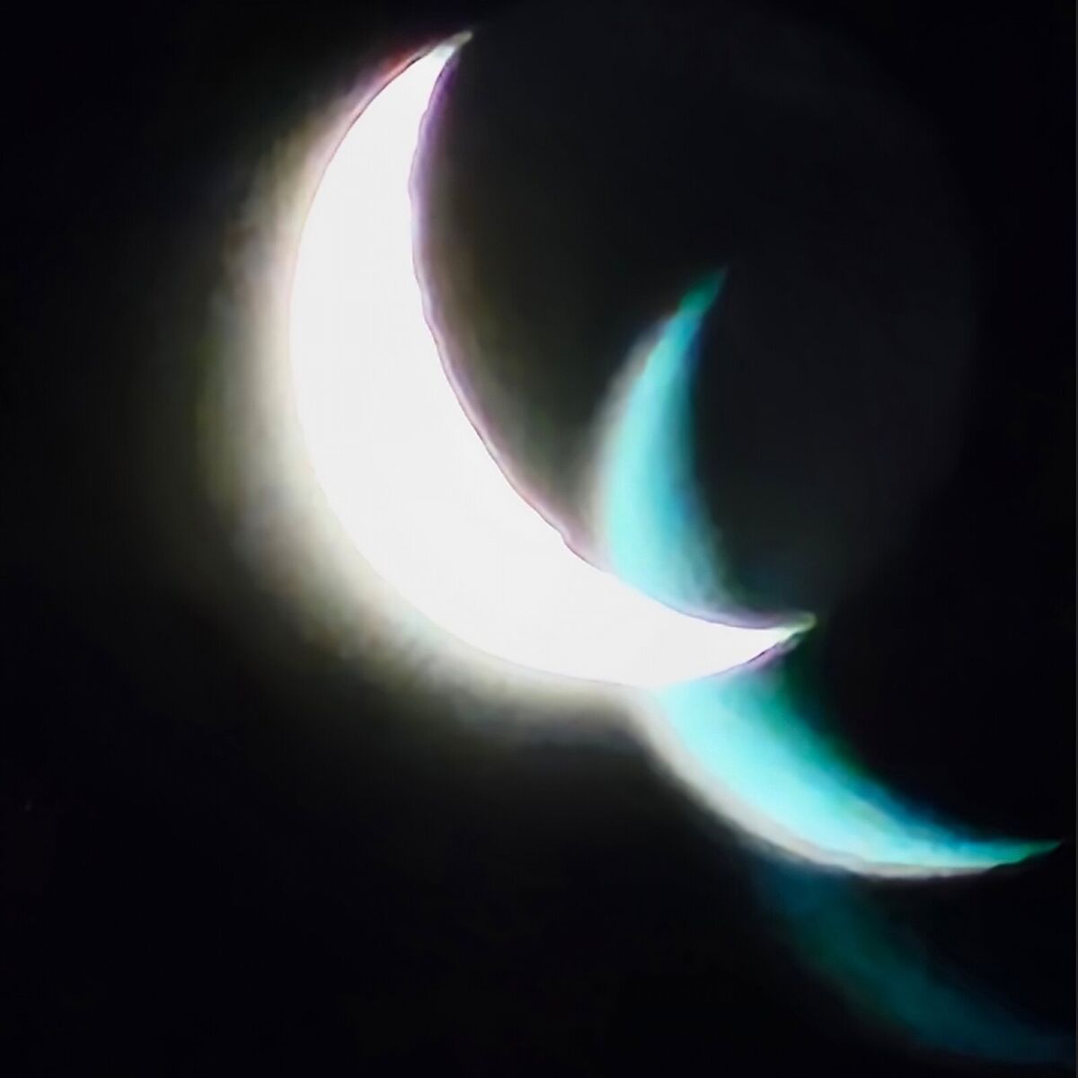 Album cover of Songs for Sentient Dust