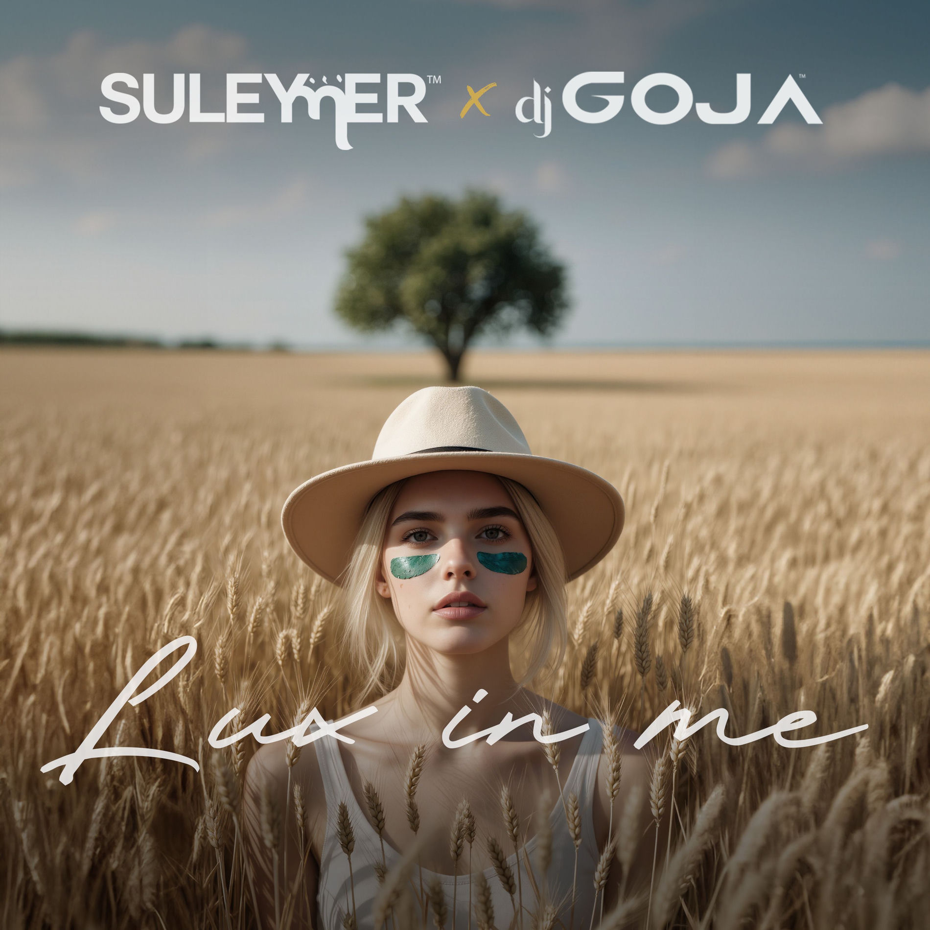Album cover of Lux In Me