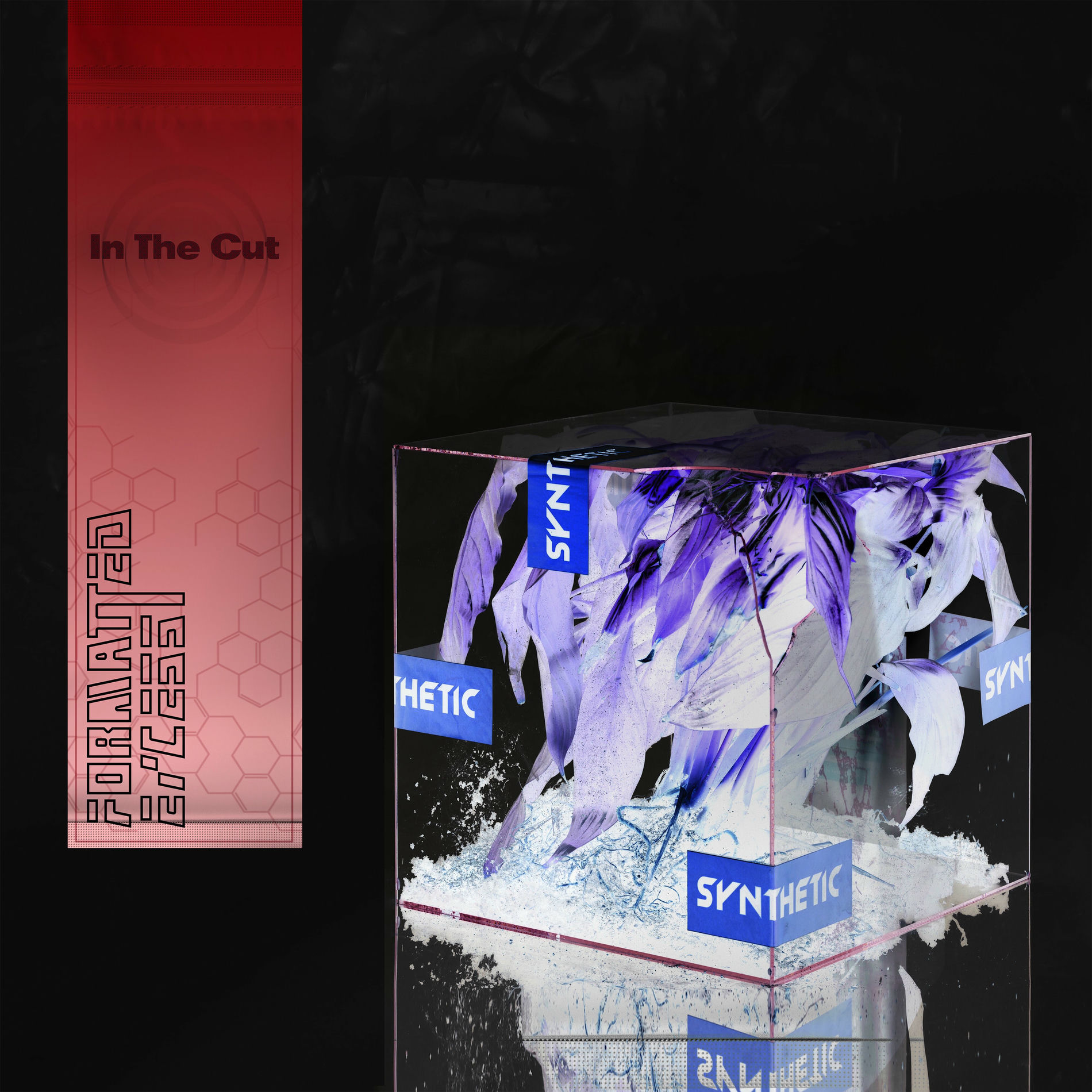 Album cover of In The Cut