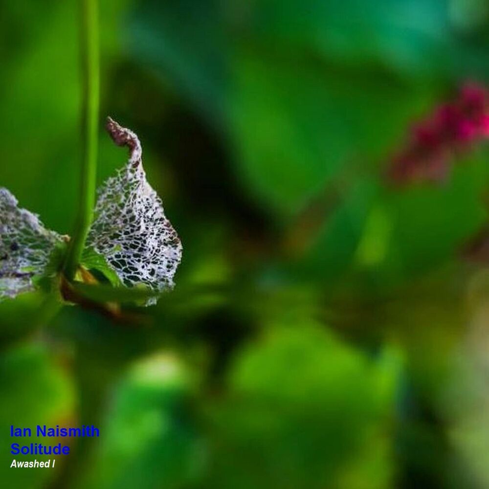 Picture of Awashed I (Solitude)