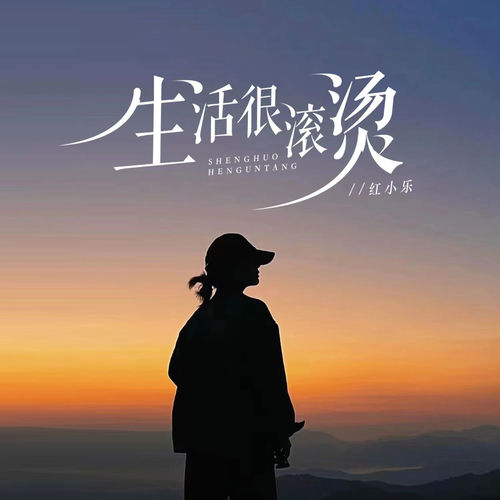 生活很滚烫(DJ九零版)