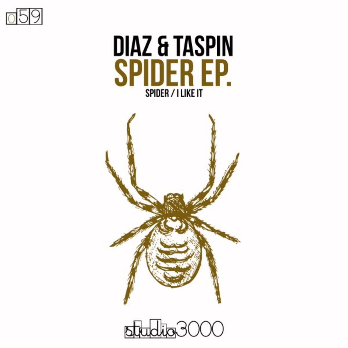 Album cover of Spider