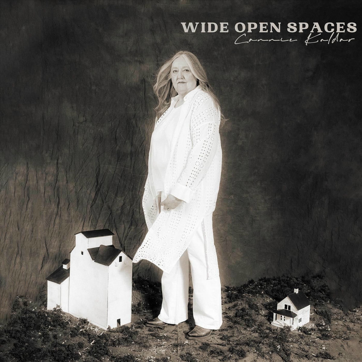 Album cover of Wide Open Spaces