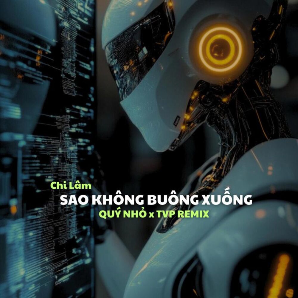 Picture of Sao Không Buông Xuống (Remix)