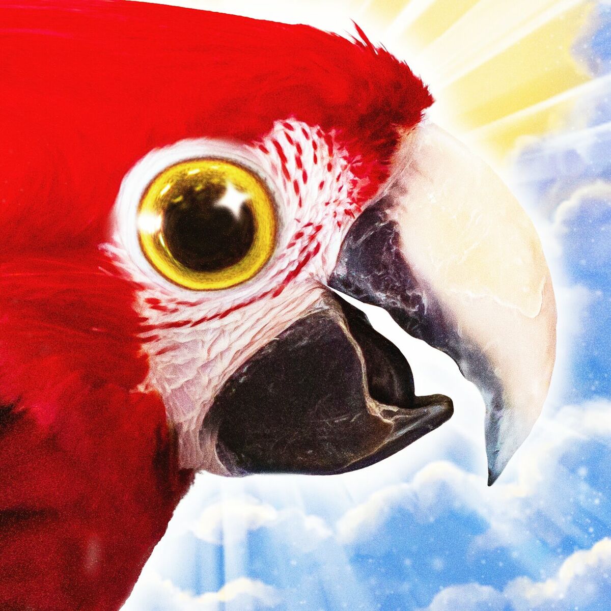 Album cover of Coco