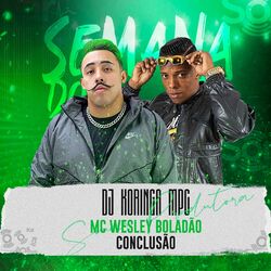 Cover of Conclusão