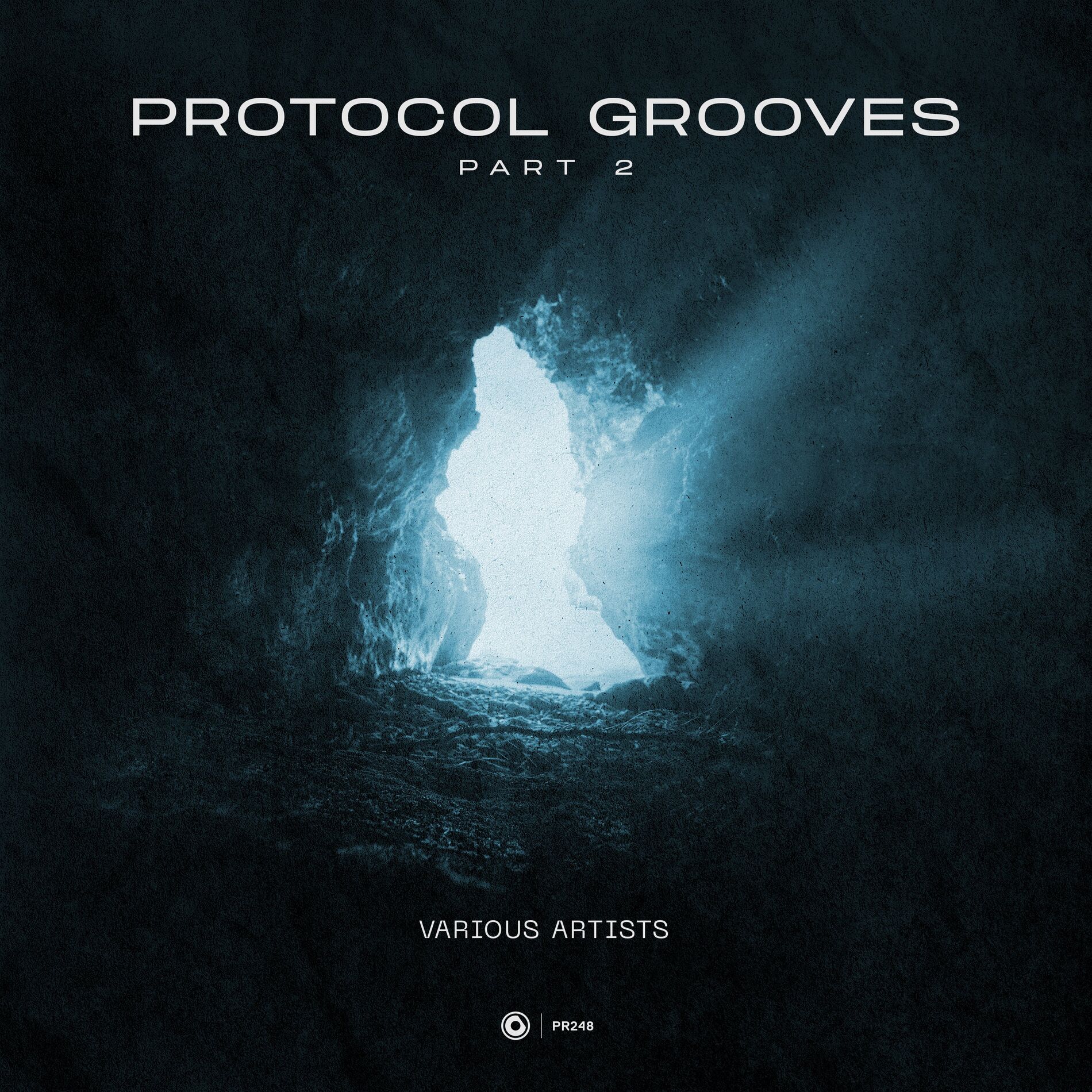 Album cover of Protocol Grooves Pt. 2