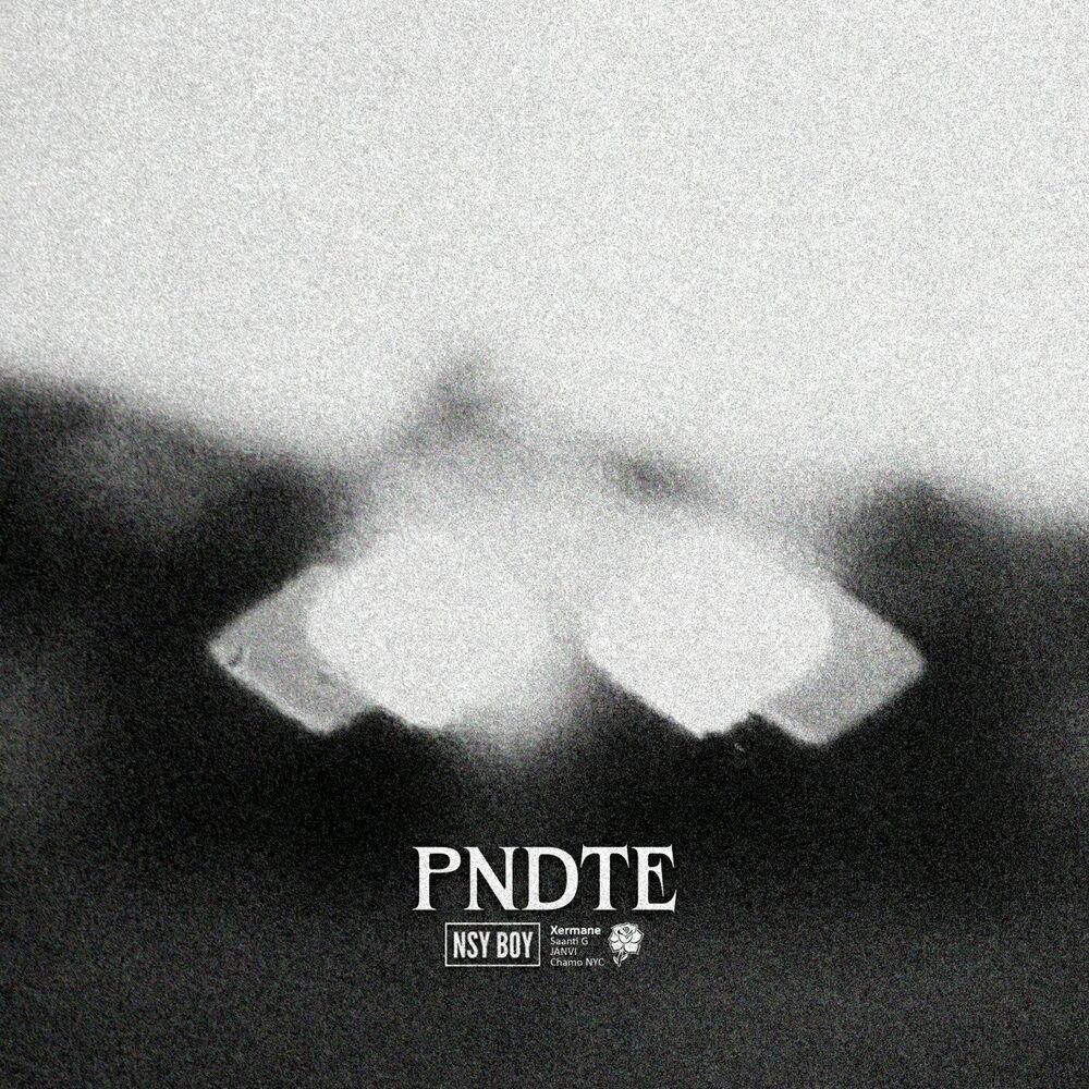 Picture of PNDTE (feat. JANVI, Chamo MVP and Saanti G)
