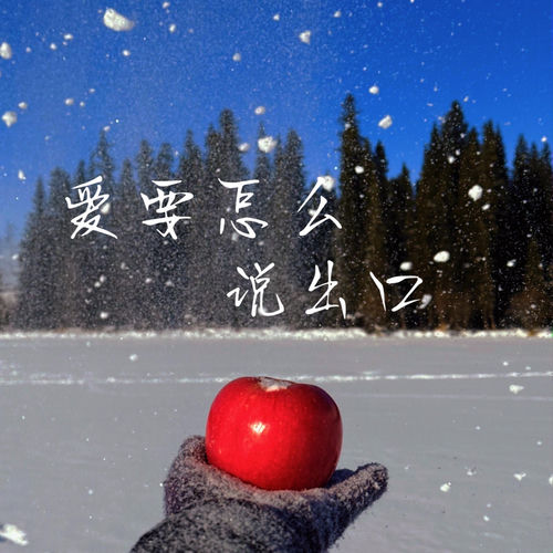 爱要怎么说出口 (烟嗓版)
