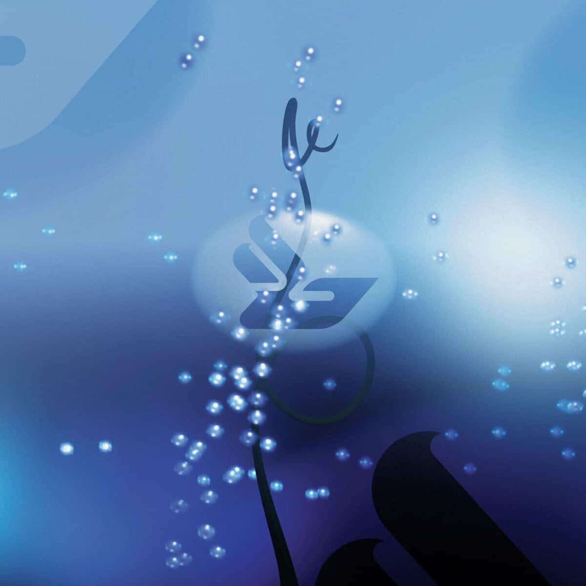 Album cover of Jóga (Promo mixes)