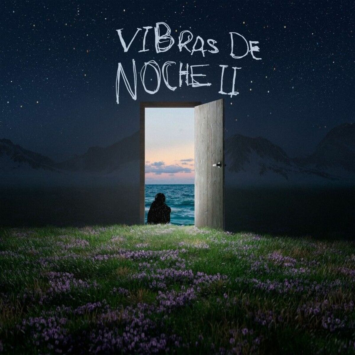 Album cover of Vibras De Noche II