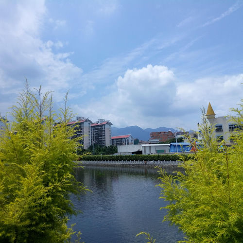 冰心未凉