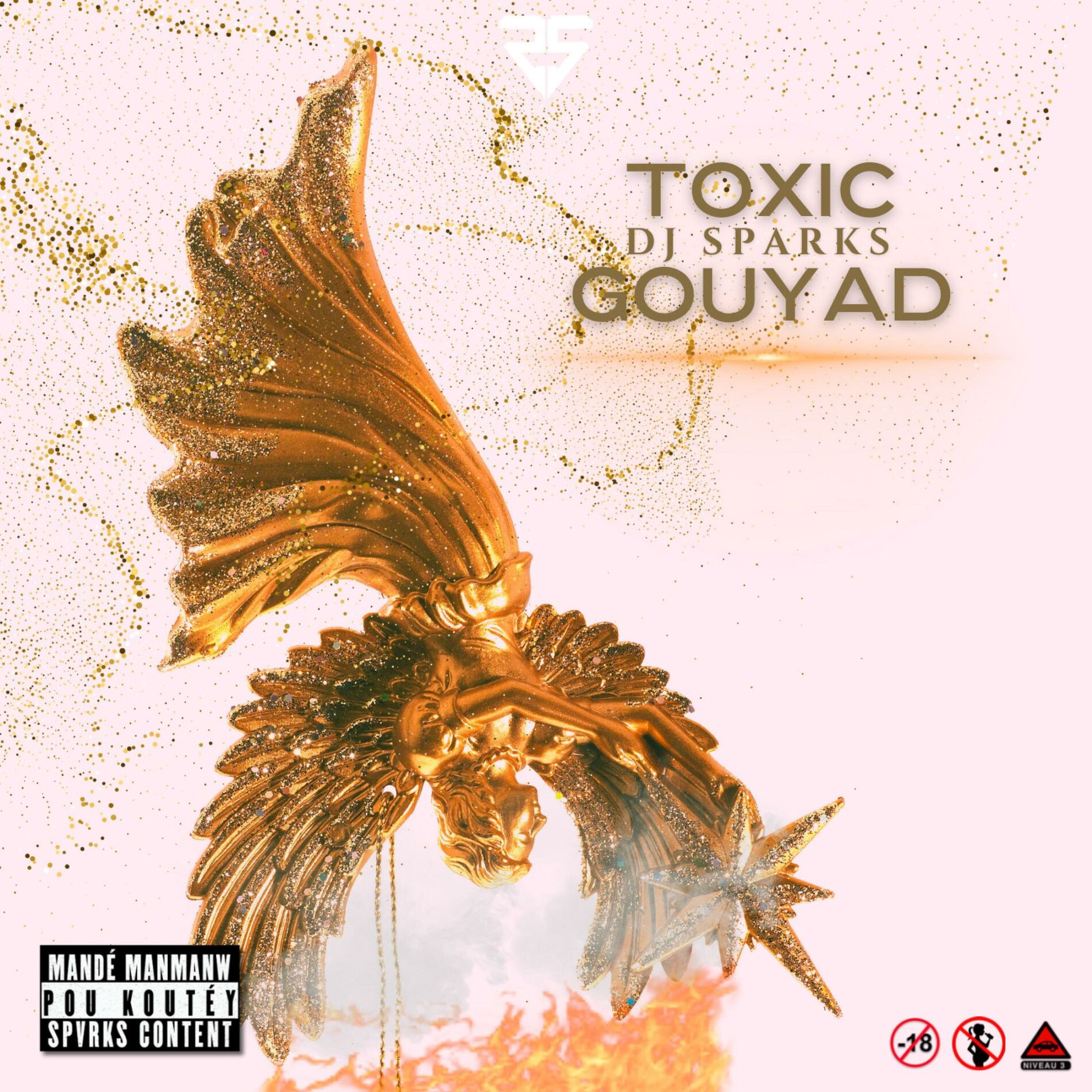 Album cover of Toxic Gouyad