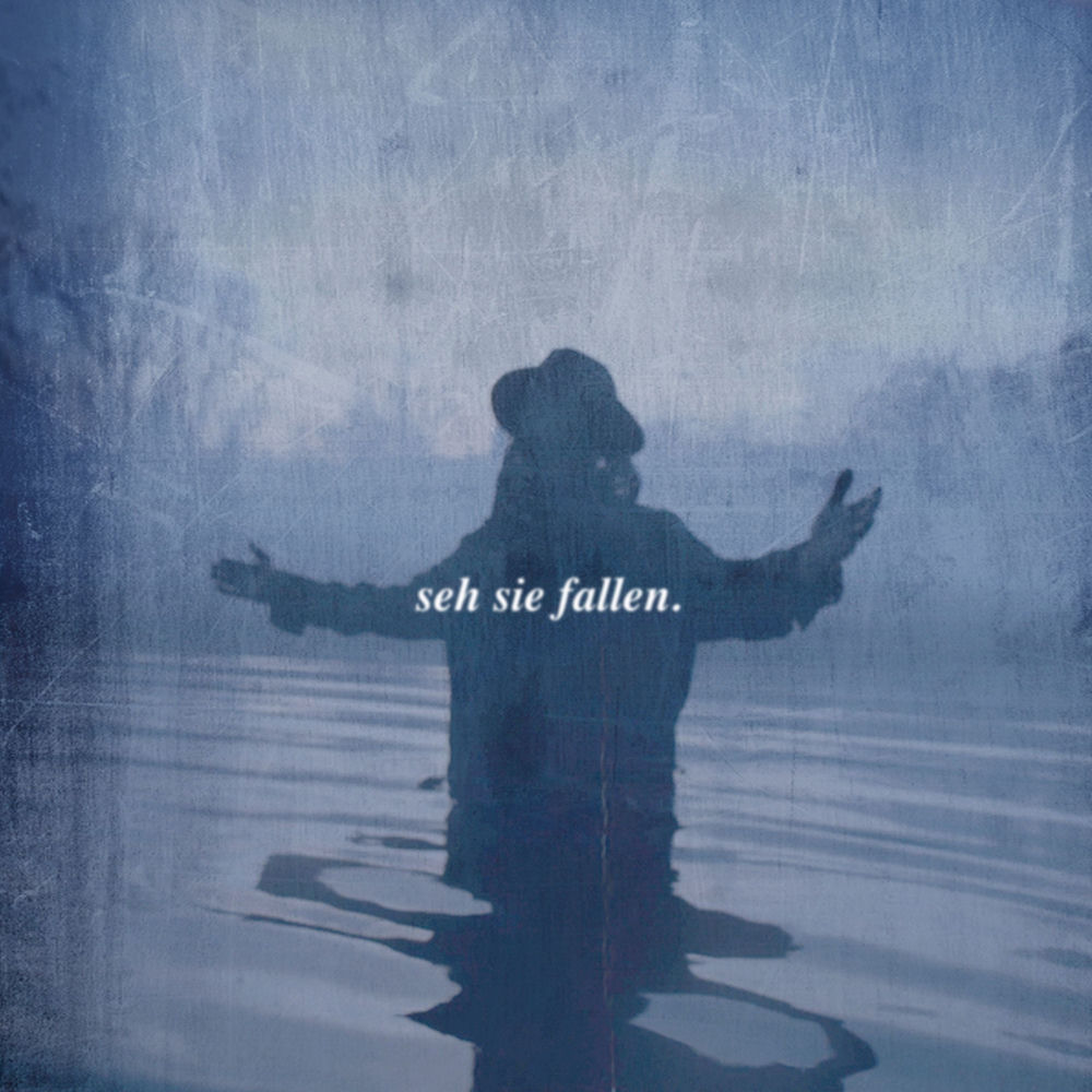 seh sie fallen. cover