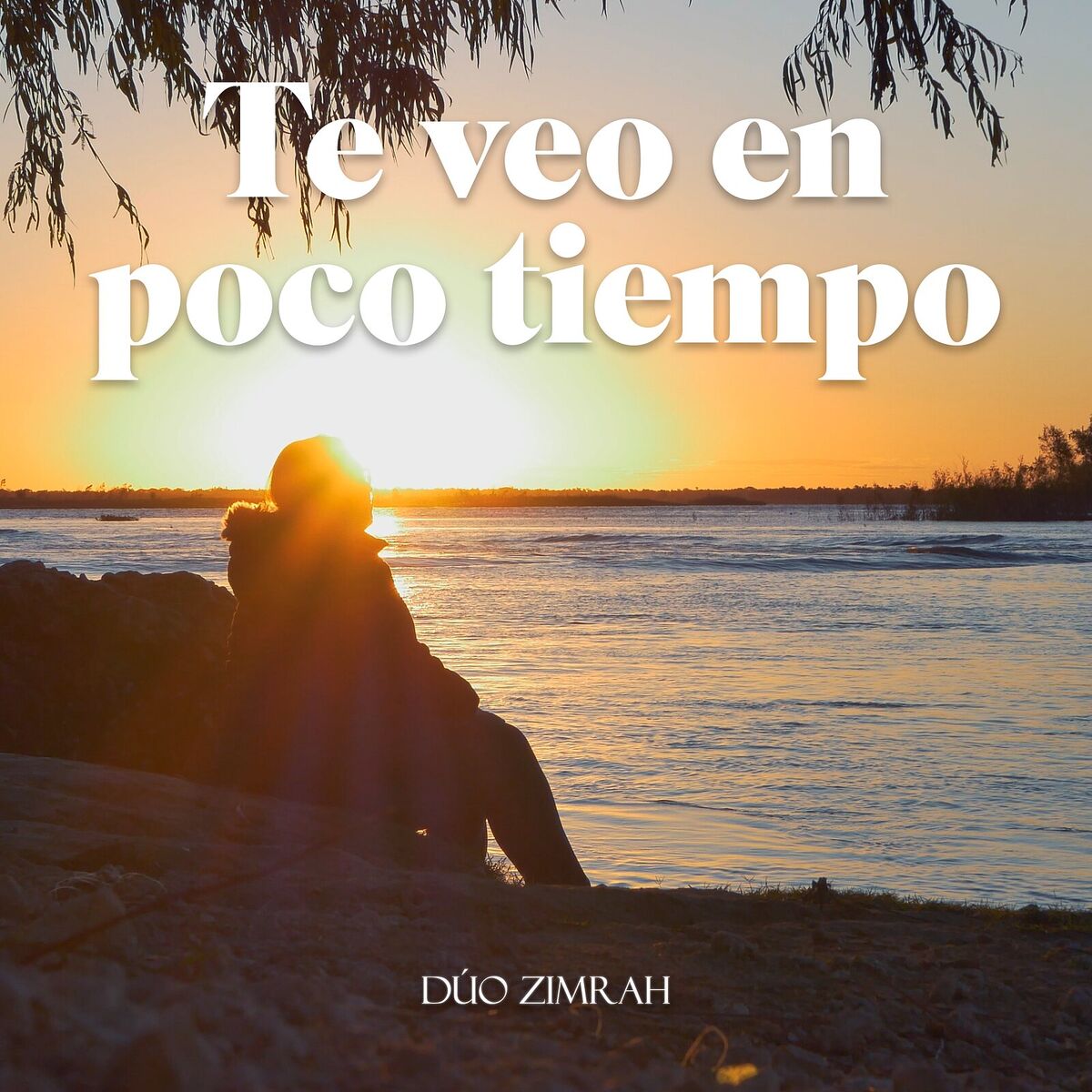 Album cover of Te Veo En Poco Tiempo