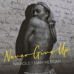 Cover of Never Give Up