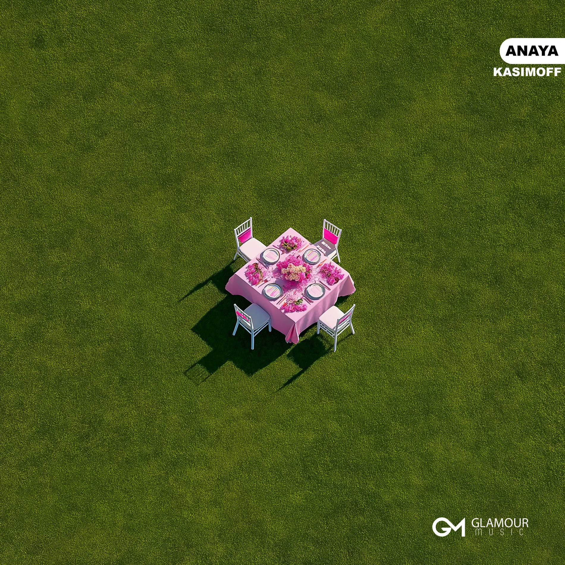 Album cover of Anaya