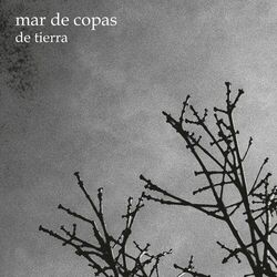 Cover of De Tierra