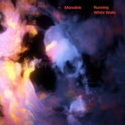 Cover of Running/White Walls