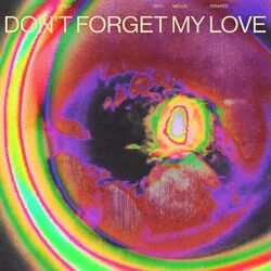 Cover of Don't Forget My Love (Remixes)