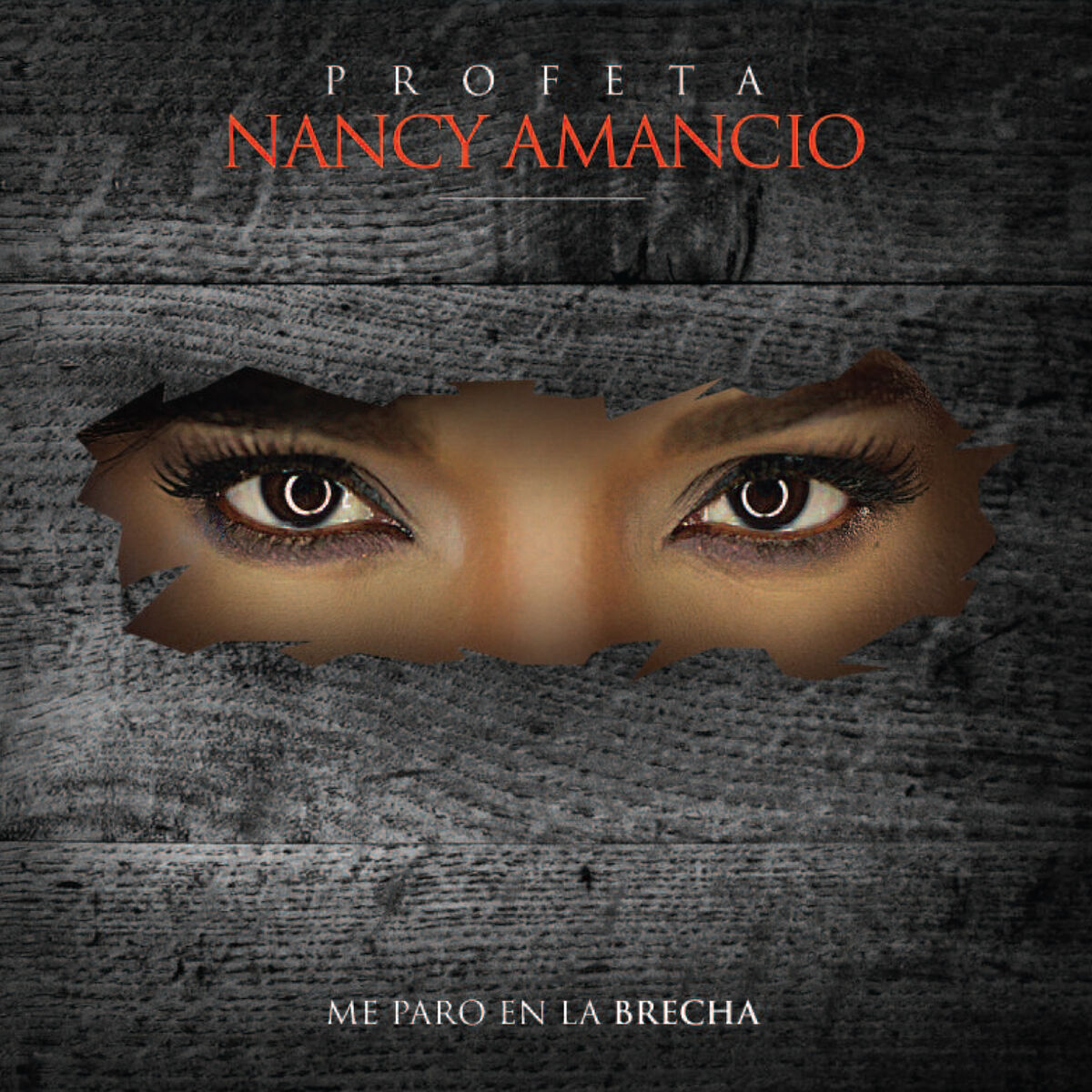 Album cover of Me Paro En La Brecha
