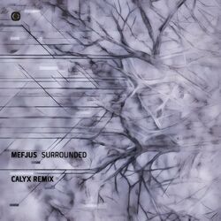 Cover of Surrounded (Calyx Remix)