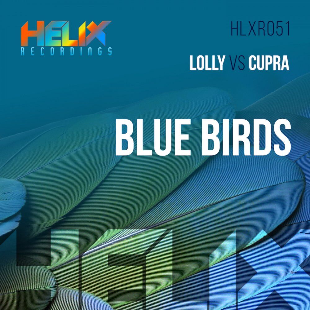 Picture of Blue Birds