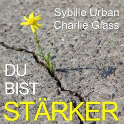 Cover of Du bist stärker