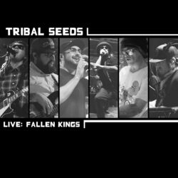 Cover of Fallen Kings - Live