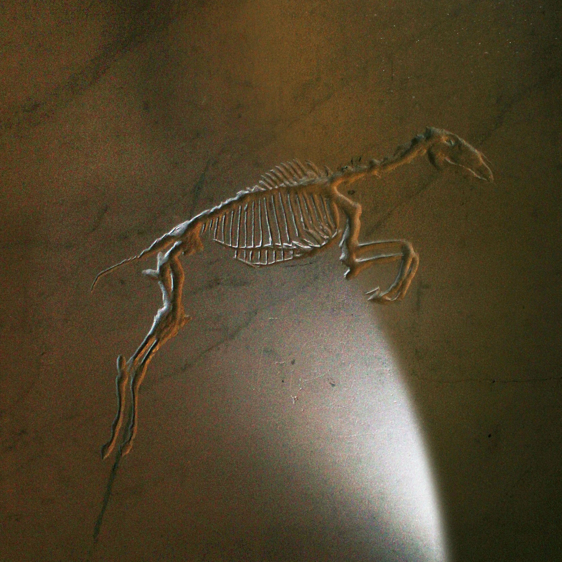 Album cover of Round and Round