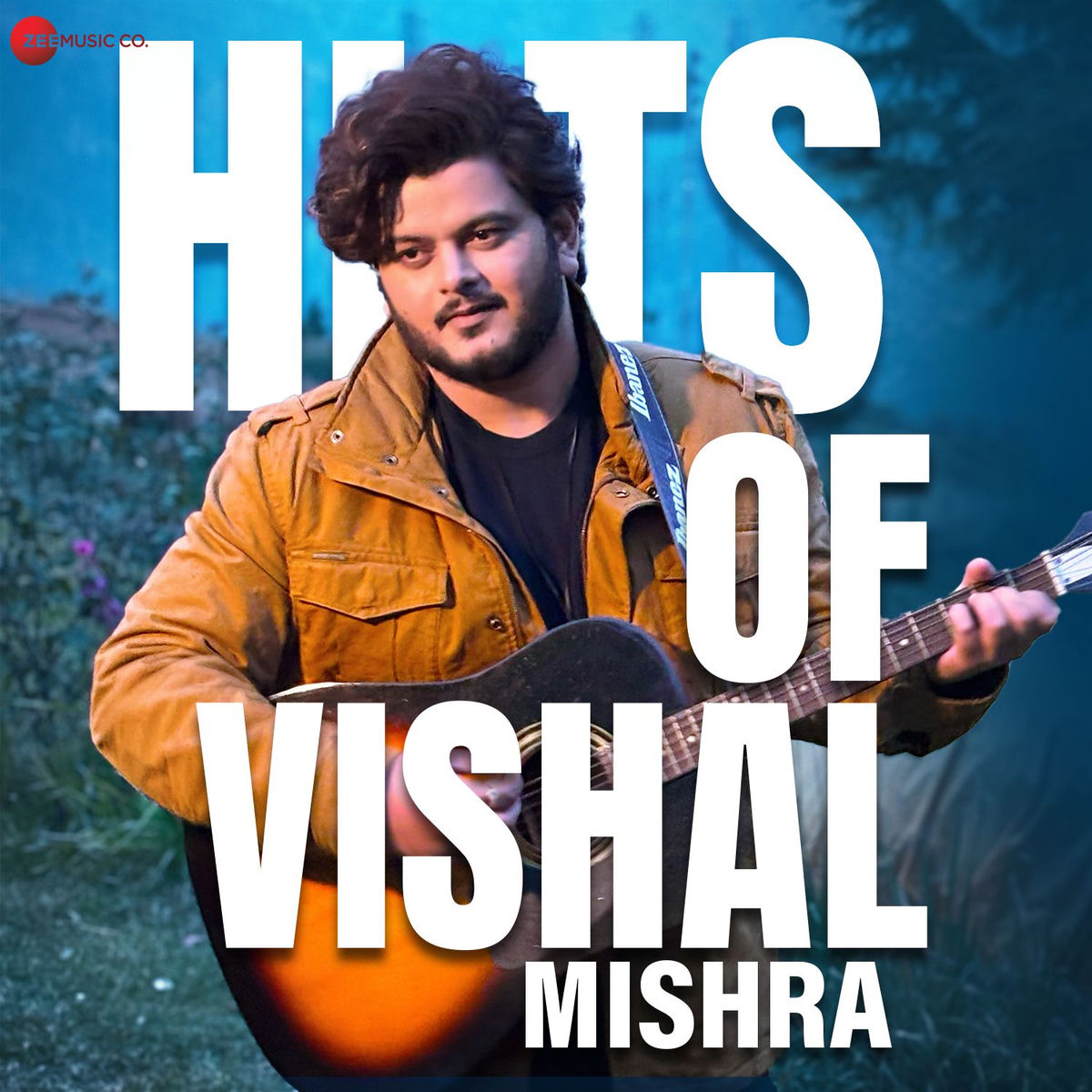 Album cover of Hits Of Vishal Mishra