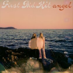 Cover of Angel