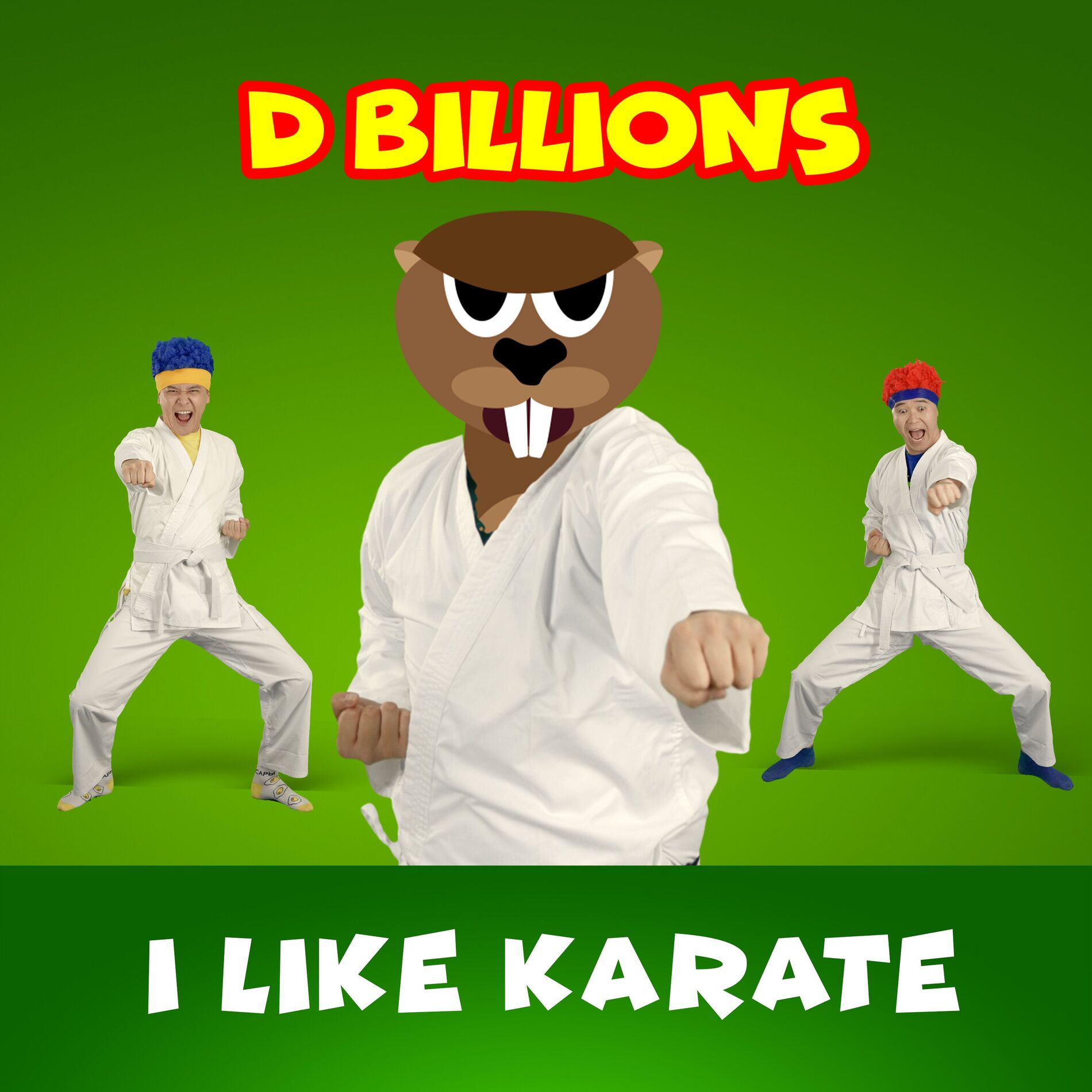 Album cover of I Like Karate