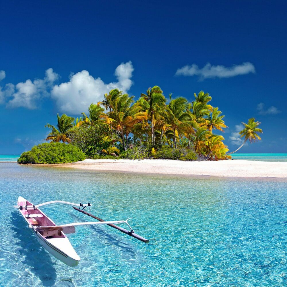 Picture of Dreamy Fugue by the Ocean: Music for Stress Relief