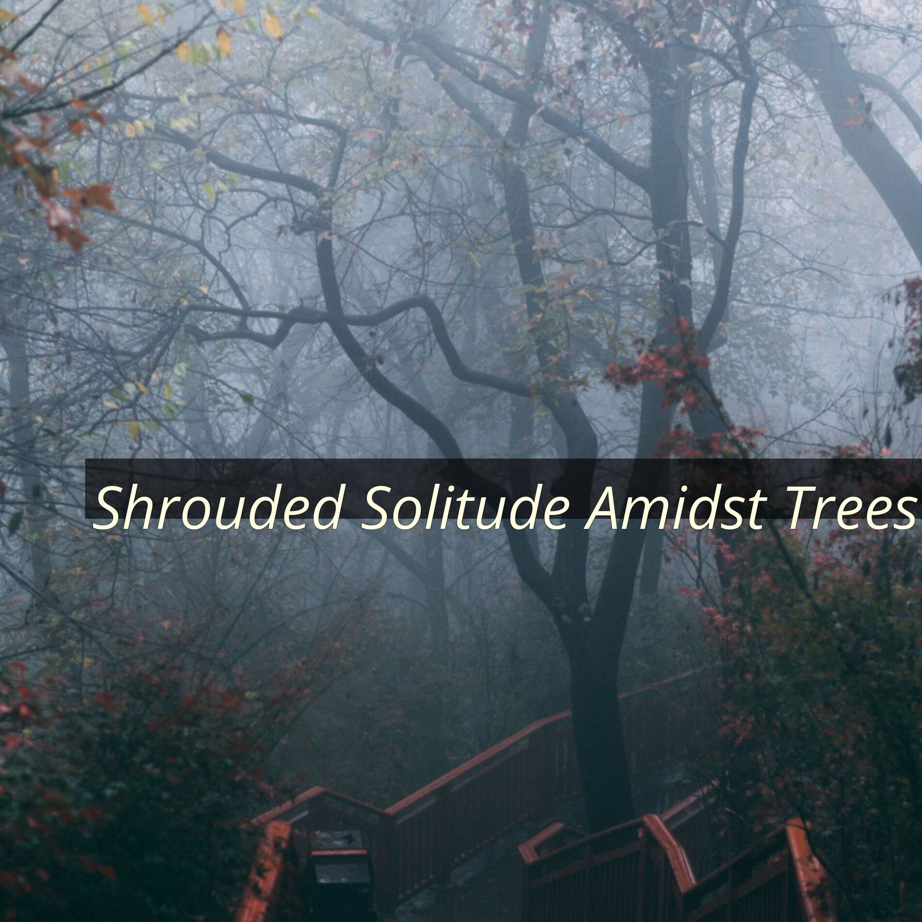 Album cover of Shrouded Solitude Amidst Trees