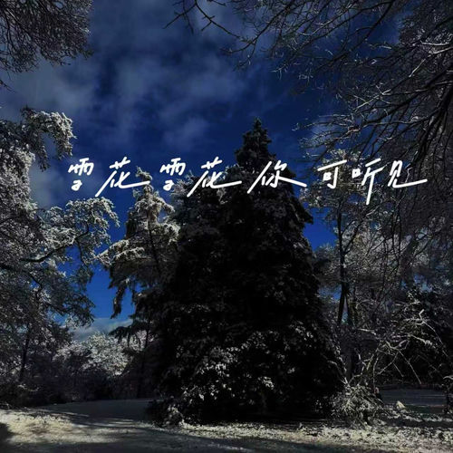 雪花雪花你可听见 (男女二重奏)