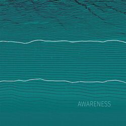 Cover of Awareness