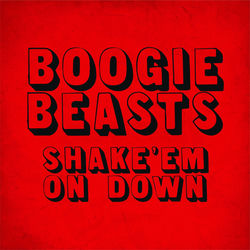Capa de Shake' Em On Down