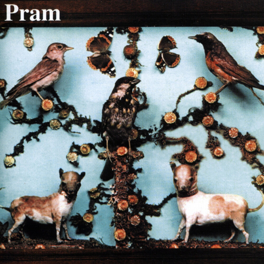 Picture of The Museum Of Imaginary Animals